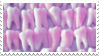 Teeth